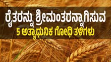 ರೈತರನ್ನು ಶ್ರೀಮಂತರನ್ನಾಗಿ ಮಾಡುವ 5 ಅತ್ಯಾಧುನಿಕ ಗೋಧಿ ತಳಿಗಳು ರೈತರನ್ನು ಶ್ರೀಮಂತರನ್ನಾಗಿ ಮಾಡುವ 5 ಅತ್ಯಾಧುನಿಕ ಗೋಧಿ ತಳಿಗಳು