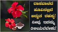 ದಾಸವಾಳದ ಹೂವಿನಲ್ಲಿದೆ ಅದ್ಬುತ ರಹಸ್ಯ! ನೀವು ಇದನ್ನೂ ತಿಳಿಯಲೆಬೇಕು!