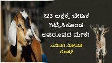₹23 ಲಕ್ಷಕ್ಕೆ ಬೇಡಿಕೆ ಗಿಟ್ಟಿಸಿಕೊಂಡ ಅಪರೂಪದ ಮೇಕೆ! ಏನಿದರ ವಿಶೇಷತೆ ಗೊತ್ತೆ? ₹23 ಲಕ್ಷಕ್ಕೆ ಬೇಡಿಕೆ ಗಿಟ್ಟಿಸಿಕೊಂಡ ಅಪರೂಪದ ಮೇಕೆ! ಏನಿದರ ವಿಶೇಷತೆ ಗೊತ್ತೆ?