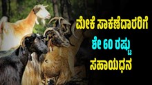 ಮೇಕೆ ಸಾಕಣೆದಾರರಿಗೆ ಸಿಕ್ತು ಬಂಪರ್  ಗಿಫ್ಟ್..  ಸರ್ಕಾರದಿಂದ ಶೇ 60 ರಷ್ಟು ಸಹಾಯಧನ ಮೇಕೆ ಸಾಕಣೆದಾರರಿಗೆ ಸಿಕ್ತು ಬಂಪರ್  ಗಿಫ್ಟ್..  ಸರ್ಕಾರದಿಂದ ಶೇ 60 ರಷ್ಟು ಸಹಾಯಧನ