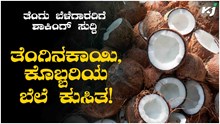 ತೆಂಗು ಬೆಳೆಗಾರರಿಗೆ ಶಾಕಿಂಗ್ ಸುದ್ದಿ; ತೆಂಗಿನಕಾಯಿ, ಕೊಬ್ಬರಿಯ ಬೆಲೆ ಕುಸಿತ! ತೆಂಗು ಬೆಳೆಗಾರರಿಗೆ ಶಾಕಿಂಗ್ ಸುದ್ದಿ; ತೆಂಗಿನಕಾಯಿ, ಕೊಬ್ಬರಿಯ ಬೆಲೆ ಕುಸಿತ!