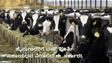Good News: ಹೈನುಗಾರರಿಗೆ ವರ್ಷ ಪೂರ್ತಿ ಸಹಾಯಧನ ನೀಡಲಿದೆ ಈ  ಸರ್ಕಾರ! Good News: ಹೈನುಗಾರರಿಗೆ ವರ್ಷ ಪೂರ್ತಿ ಸಹಾಯಧನ ನೀಡಲಿದೆ ಈ  ಸರ್ಕಾರ!