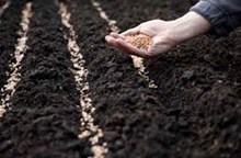 ರೈತರಿಗೆ ಗುಣಮಟ್ಟದ ಬೀಜಗಳನ್ನು ಉತ್ಪಾದಿಸುವ ತಂತ್ರಗಳು..!