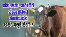 ಹಸು, ಎಮ್ಮೆ ಖರೀದಿಸಲು ಸರ್ಕಾರವೇ ನೀಡ್ತಿದೆ ಹಣ..ಅರ್ಜಿ ಸಲ್ಲಿಕೆ ಹೇಗೆ..?