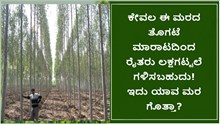 ಕೇವಲ ಈ ಮರದ ತೊಗಟೆ ಮಾರಾಟದಿಂದ ರೈತರು ಲಕ್ಷಗಟ್ಟಲೆ ಗಳಿಸಬಹುದು! ಇದು ಯಾವ ಮರ ಗೊತ್ತಾ?