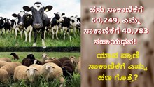  ಹಸು ಸಾಕಾಣಿಕೆಗೆ ₹60,249, ಎಮ್ಮೆ ಸಾಕಾಣಿಕೆಗೆ ₹40,783 ಸಹಾಯಧನ! ಯಾವ ಪ್ರಾಣಿ ಸಾಕಾಣಿಕೆಗೆ ಎಷ್ಟು ಹಣ ಗೊತ್ತೆ?