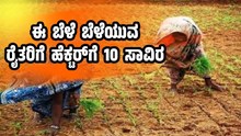 ಈ ಬೆಳೆ ಬೆಳೆಯುವ ರೈತರಿಗೆ ಸರ್ಕಾರ ನೀಡ್ತಿದೆ ಹೆಕ್ಟರ್ಗೆ 10 ಸಾವಿರ ರೂ..ಇಲ್ಲಿದೆ ಮಾಹಿತಿ ಈ ಬೆಳೆ ಬೆಳೆಯುವ ರೈತರಿಗೆ ಸರ್ಕಾರ ನೀಡ್ತಿದೆ ಹೆಕ್ಟರ್ಗೆ 10 ಸಾವಿರ ರೂ..ಇಲ್ಲಿದೆ ಮಾಹಿತಿ