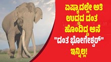 Breaking: ಏಷ್ಯಾದಲ್ಲೇ ಅತಿ ಉದ್ದದ ದಂತ ಹೊಂದಿದ್ದ ಆನೆ "ದಂತ ಭೋಗೇಶ್ವರ್" ಇನ್ನಿಲ್ಲ!  Breaking: ಏಷ್ಯಾದಲ್ಲೇ ಅತಿ ಉದ್ದದ ದಂತ ಹೊಂದಿದ್ದ ಆನೆ "ದಂತ ಭೋಗೇಶ್ವರ್" ಇನ್ನಿಲ್ಲ!
