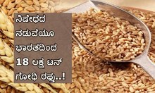 ನಿಷೇಧದ ನಡುವೆಯೂ ಭಾರತದಿಂದ 18 ಲಕ್ಷ ಟನ್‌ ಗೋಧಿ ರಫ್ತು..!