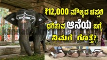 12,000 ರೂಪಾಯಿ ಮೌಲ್ಯದ ಚಪ್ಪಲಿ ಧರಿಸುವ ಈ ಆನೆಯ ಬಗ್ಗೆ ನಿಮಗೆ ಗೊತ್ತೆ?  12,000 ರೂಪಾಯಿ ಮೌಲ್ಯದ ಚಪ್ಪಲಿ ಧರಿಸುವ ಈ ಆನೆಯ ಬಗ್ಗೆ ನಿಮಗೆ ಗೊತ್ತೆ?