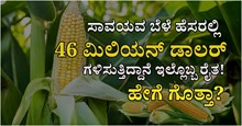 ಸಾವಯವ ಬೆಳೆ ಹೆಸರಲ್ಲಿ 46 ಮಿಲಿಯನ್ ಡಾಲರ್ ಗಳಿಸುತ್ತಿದ್ದಾನೆ ಇಲ್ಲೊಬ್ಬ ರೈತ! ಹೇಗೆ ಗೊತ್ತಾ? ಸಾವಯವ ಬೆಳೆ ಹೆಸರಲ್ಲಿ 46 ಮಿಲಿಯನ್ ಡಾಲರ್ ಗಳಿಸುತ್ತಿದ್ದಾನೆ ಇಲ್ಲೊಬ್ಬ ರೈತ! ಹೇಗೆ ಗೊತ್ತಾ?