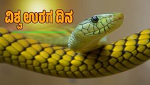World Snake Day: ಈ ಜಾಗಕ್ಕೆ ಹೋದವರು ವಾಪಸ್‌ ಬರೋದೆ ಡೌಟ್‌! ಹಾವುಗಳ ದ್ವೀಪದ ಬಗ್ಗೆ ನಿಮಗೆ ಗೊತ್ತಾ..?
