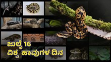 World Snake Day: “ವಿಶ್ವ ಹಾವುಗಳ ದಿನ”ದ ಕುರಿತು ನಾಗರಾಜ್ ಬೆಳ್ಳೂರು ಅವರು ಬರೆದ ಕುತೂಹಲಕಾರಿ ಲೇಖನ!  World Snake Day: “ವಿಶ್ವ ಹಾವುಗಳ ದಿನ”ದ ಕುರಿತು ನಾಗರಾಜ್ ಬೆಳ್ಳೂರು ಅವರು ಬರೆದ ಕುತೂಹಲಕಾರಿ ಲೇಖನ!