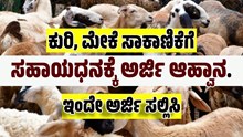 ರೈತರಿಗೆ ಬೊಂಬಾಟ್‌ ನ್ಯೂಸ್‌: ಕುರಿ, ಮೇಕೆ ಸಾಕಾಣಿಕೆಗೆ ಸಹಾಯಧನಕ್ಕೆ ಅರ್ಜಿ ಆಹ್ವಾನ..ಇಂದೇ ಅರ್ಜಿ ಸಲ್ಲಿಸಿ