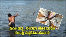 ಗಮನಿಸಿ: ಪಿಎಂ ಮತ್ಸ್ಯ ಸಂಪದಾ ಯೋಜನೆಯ ಗಡುವು ವಿಸ್ತರಿಸಿದ ಸರ್ಕಾರ! ಗಮನಿಸಿ: ಪಿಎಂ ಮತ್ಸ್ಯ ಸಂಪದಾ ಯೋಜನೆಯ ಗಡುವು ವಿಸ್ತರಿಸಿದ ಸರ್ಕಾರ!