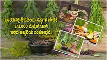ಭಾರತದಲ್ಲಿ ಗಿಡಮೂಲಿಕೆಗಳು / ಔಷಧೀಯ ಸಸ್ಯಗಳ ಬೇಡಿಕೆ ಸುಮಾರು 5,12,000 ಮೆಟ್ರಿಕ್ ಟನ್! ಇಲ್ಲಿದೆ ಅಚ್ಚರಿಯ ಸಂಶೋಧನೆ.. ಭಾರತದಲ್ಲಿ ಗಿಡಮೂಲಿಕೆಗಳು / ಔಷಧೀಯ ಸಸ್ಯಗಳ ಬೇಡಿಕೆ ಸುಮಾರು 5,12,000 ಮೆಟ್ರಿಕ್ ಟನ್! ಇಲ್ಲಿದೆ ಅಚ್ಚರಿಯ ಸಂಶೋಧನೆ..