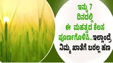 ರೈತರೇ ಗಮನಿಸಿ: ಇನ್ನು 7 ದಿನದಲ್ಲಿ ಈ ಮಹತ್ವದ ಕೆಲಸ ಪೂರ್ಣಗೊಳಿಸಿ..ಇಲ್ಲಾಂದ್ರೆ ನಿಮ್ಮ ಖಾತೆಗೆ ಬರಲ್ಲ ಹಣ ರೈತರೇ ಗಮನಿಸಿ: ಇನ್ನು 7 ದಿನದಲ್ಲಿ ಈ ಮಹತ್ವದ ಕೆಲಸ ಪೂರ್ಣಗೊಳಿಸಿ..ಇಲ್ಲಾಂದ್ರೆ ನಿಮ್ಮ ಖಾತೆಗೆ ಬರಲ್ಲ ಹಣ