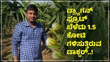 Dragon fruit: ಡ್ರ್ಯಾಗನ್‌ ಫ್ರೂಟ್‌ ಬೆಳೆದು 1.5 ಕೋಟಿ ಗಳಿಸುತ್ತಿರುವ ಡಾಕ್ಟರ್‌; ಇಲ್ಲಿದೆ ವೈದ್ಯರೊಬ್ಬರ ಕೃಷಿ ಕತೆ!