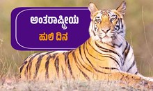 ಇಂದು ವಿಶ್ವ ಹುಲಿ ದಿನ..ದೇಶದ ಯಾವ ರಾಜ್ಯದಲ್ಲಿ ಹೆಚ್ಚು ಹುಲಿಗಳಿವೆ ಬಲ್ಲಿರಾ..? ಇಂದು ವಿಶ್ವ ಹುಲಿ ದಿನ..ದೇಶದ ಯಾವ ರಾಜ್ಯದಲ್ಲಿ ಹೆಚ್ಚು ಹುಲಿಗಳಿವೆ ಬಲ್ಲಿರಾ..?