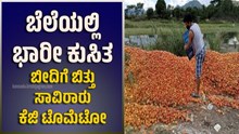 ಬೆಲೆಯಲ್ಲಿ ಭಾರೀ ಕುಸಿತ..ಬೀದಿಗೆ ಬಿತ್ತು ಸಾವಿರಾರು ಕೆಜಿ ಟೊಮೆಟೋ ಬೆಲೆಯಲ್ಲಿ ಭಾರೀ ಕುಸಿತ..ಬೀದಿಗೆ ಬಿತ್ತು ಸಾವಿರಾರು ಕೆಜಿ ಟೊಮೆಟೋ