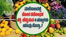 ಮಳೆಗಾಲದಲ್ಲಿ ರೋಗ ನಿರೋಧಕ ಶಕ್ತಿ ಹೆಚ್ಚಿಸುವ 4 ಹಣ್ಣುಗಳು ಯಾವು ಗೊತ್ತಾ..?